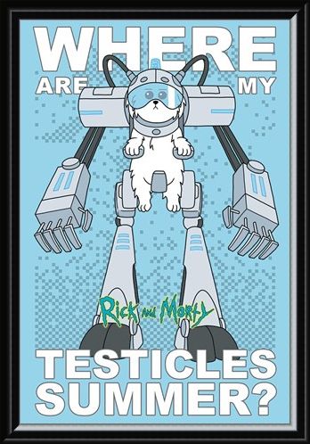 Framed Framed Where Are My Testicles - Rick and Morty