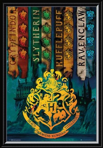 Framed Framed House Flags - Harry Potter
