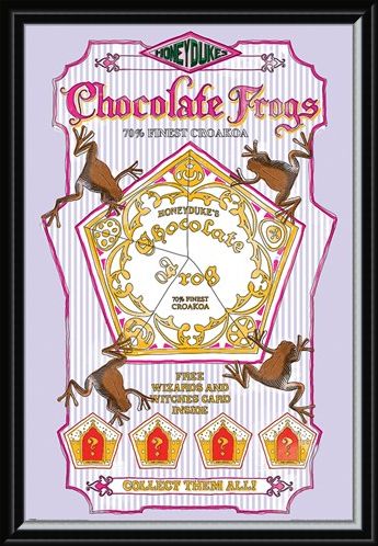 Framed Framed Honeydukes Chocolate Frogs - Harry Potter