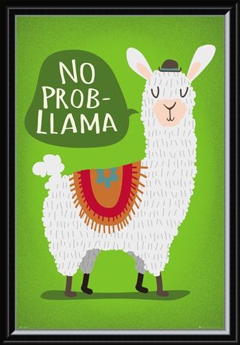 Framed Framed Llama No Probllama - Take It From Me