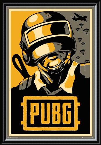 Framed Framed Hope - PUBG