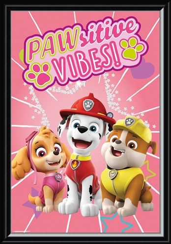 Framed Framed Pawsitive Vibes - Paw Patrol