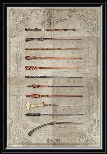 Framed Framed The Wand Chooses The Wizard - Harry Potter