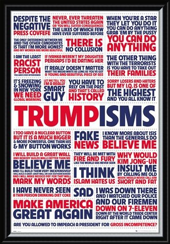 Framed Framed Trumpisms - President Trump