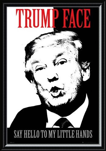 Framed Framed Say Hello To My Little Hands - Trump Face
