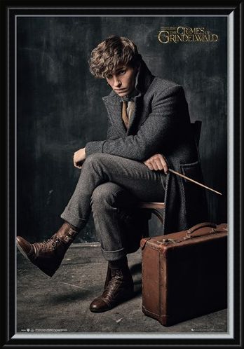 Framed Framed Newt Scamander - Fantastic Beasts 2