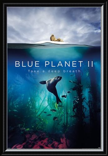 Framed Framed Take A Deep Breath - Blue Planet 2