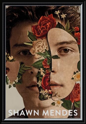 Framed Framed Flowers - Shawn Mendes