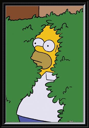 Framed Framed Homer Bush - The Simpsons