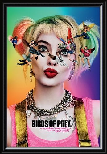 Framed Framed Seeing Stars - Birds Of Prey