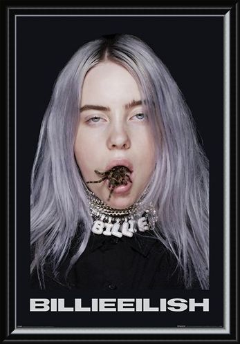 Framed Framed Spider - Billie Eilish