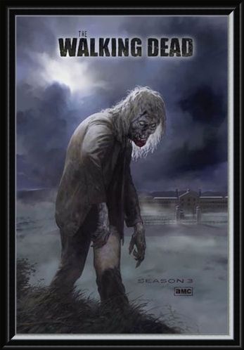 Framed Framed Flesh Eating Walker! - The Walking Dead