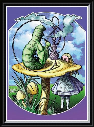 Framed Framed Alice - Mikio Kennedy