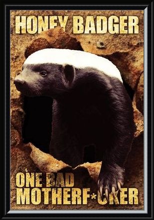 Framed Framed One Bad Mother F*cker - Honey Badger