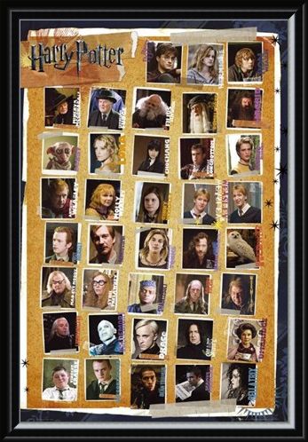 Framed Framed Character Montage - Harry Potter