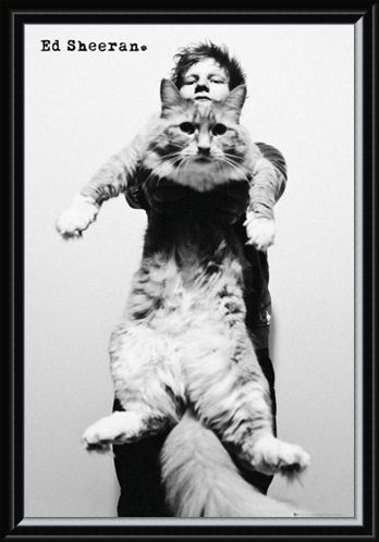 Framed Framed Fat Cat - Ed Sheeran