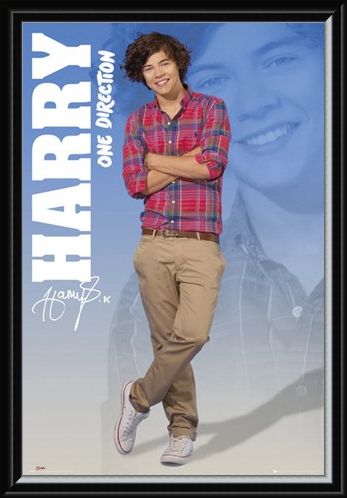 Framed Framed Harry - One Direction