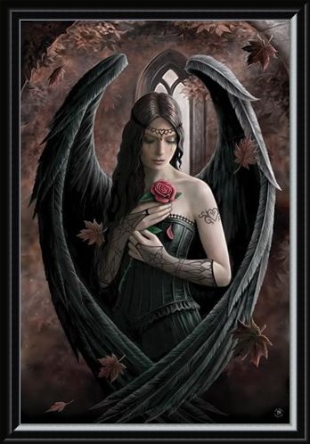 Framed Framed Angel Rose - Anne Stokes