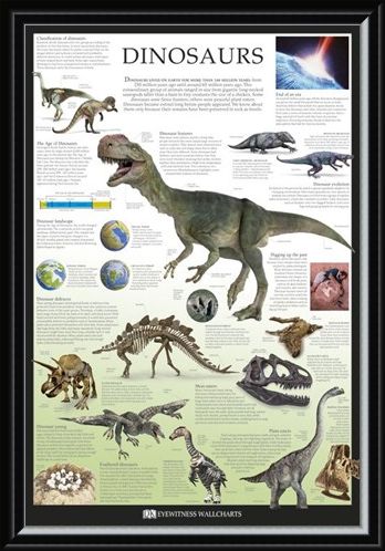Framed Framed Dinosaurs - Dorling Kindersley