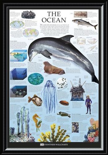 Framed Framed The Ocean - Dorling Kindersley
