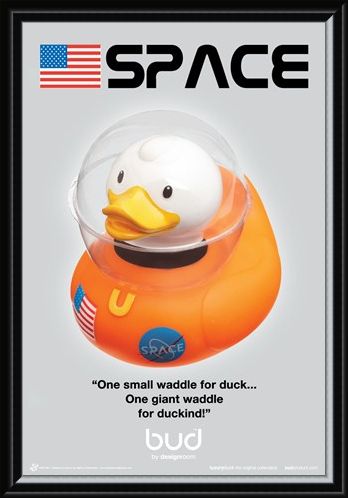Framed Framed Space Duck - Bud Ducks