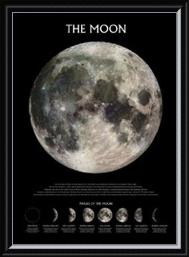 Framed Framed Phases of the Moon - The Moon