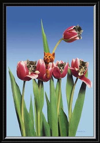 Framed Framed Kittens in Tulips - Cute Little Kittens