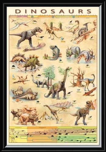 Framed Framed Dinosaurs Species - Jurassic Age Timeline