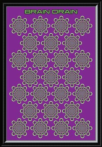 Framed Framed Brain Drain - Optical Illusion