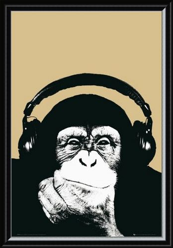 Framed Framed Monkey with Headphones - Steez