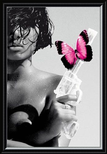 Framed Framed Killing me Softly - Dangerous Diva