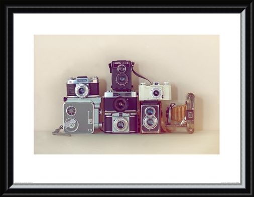 Framed Framed Camera Collection - Ian Winstanley