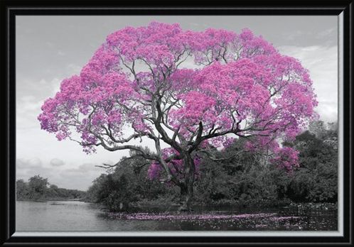 Framed Framed Tree In Bloom - Natural Pink