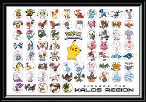 Framed Framed Pokemon Kalos Region - Gotta Catch Them All