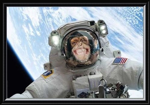 Framed Framed Out Of This World - Cheeky Chimp