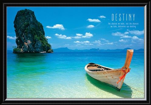 Framed Framed The Choices We Make - Destiny