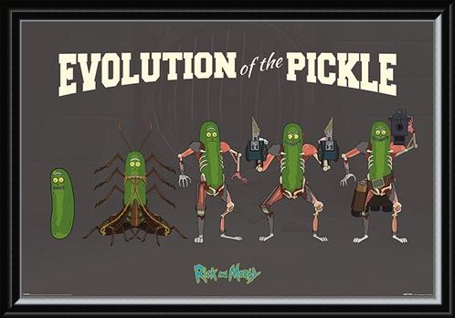 Framed Framed Evolution Of The Pickle - Rick and Morty