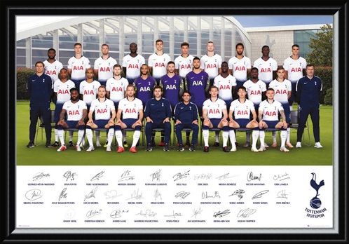 Framed Framed Team Poster 18-19 - Tottenham Hotspur