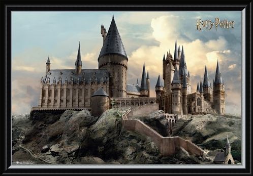Framed Framed Hogwarts Day - Harry Potter