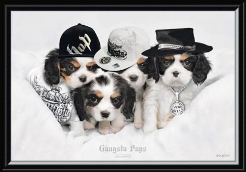 Framed Framed Gangsta Pups - Keith Kimberlin
