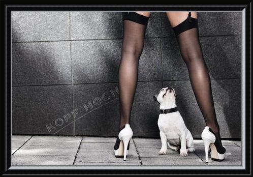 Framed Framed Cheer Up - Kopf Hoch