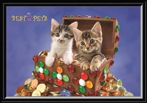 Framed Framed Kitten Treasure - My Best Pets