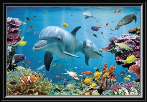 Framed Framed Underwater Dolphin Fantasy - Tropical Dolphins