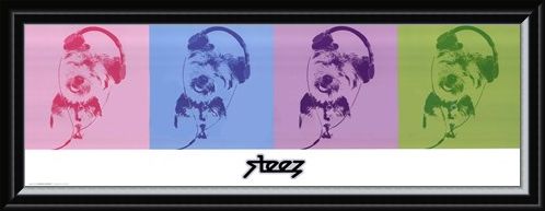 Framed Framed DJ Doggie Quad - Steez