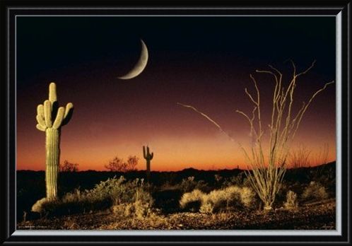 Framed Framed Desert Silhouette - Arizona Landscape