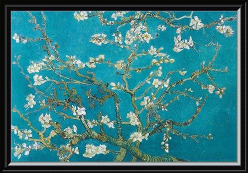 Framed Framed Almond Blossom (1890) - Vincent Van Gogh