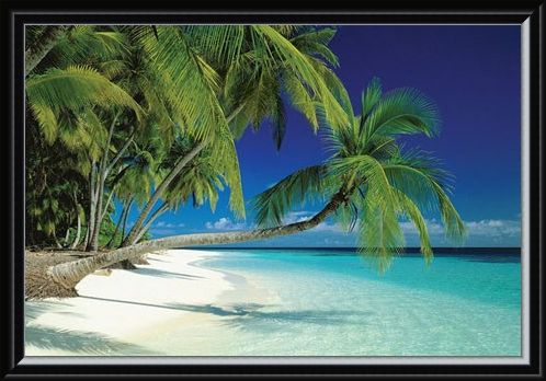 Framed Framed Maldives Beach and Sea - Palm Trees on a Tropical Island Paradise