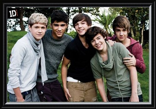 Framed Framed Beautiful Boys in the Garden - One Direction