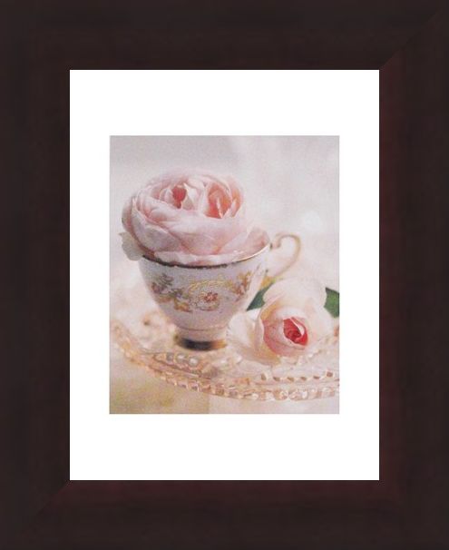 Framed Framed Pale Pink II - Lina Ricci