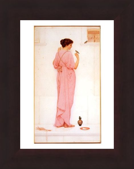 Framed Framed Song Birds - George Lawrence Bulleid